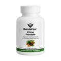 GardeFlux™