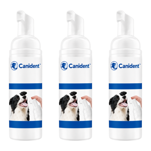 Canident™